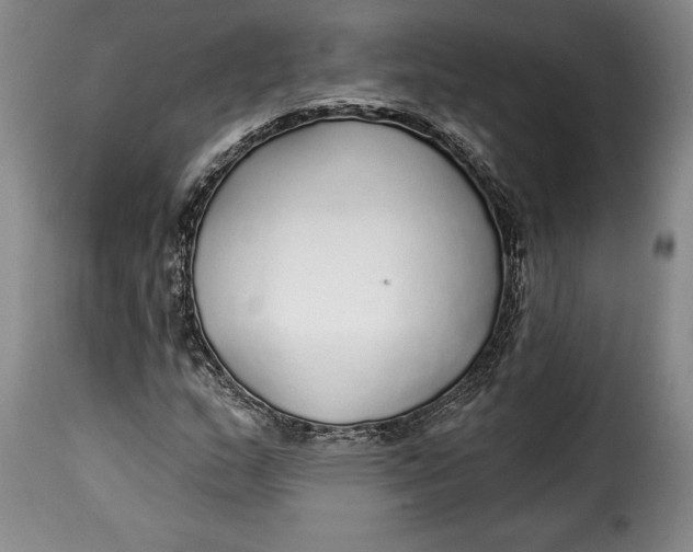 X0000115361159200911241209