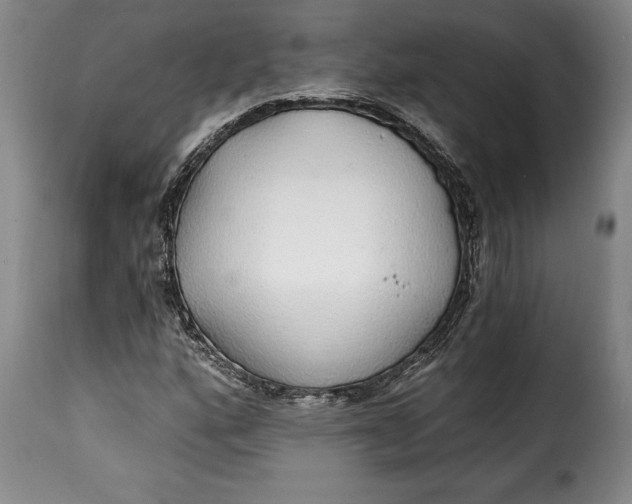 X0000115361160200911241209
