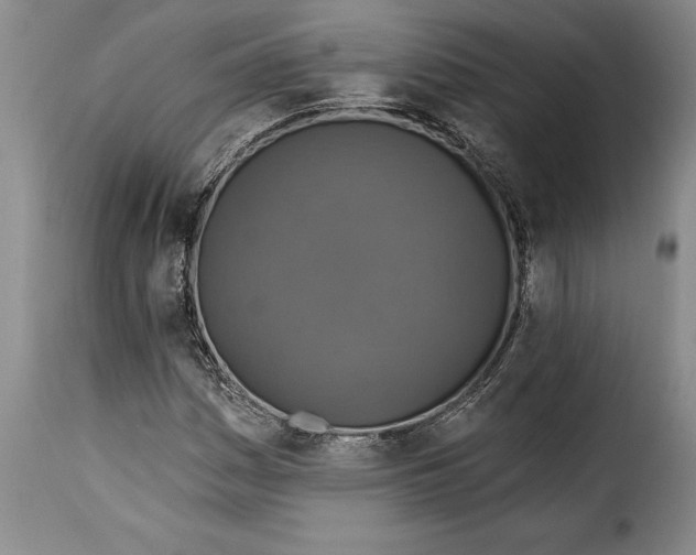 X0000115361161200911241209