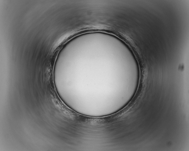 X0000115361163200911241209