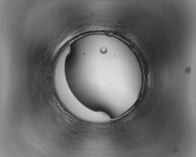 X0000115361165200911241209