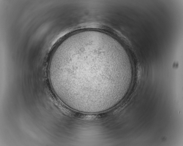 X0000115361166200911241209