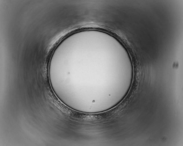 X0000115361167200911241209
