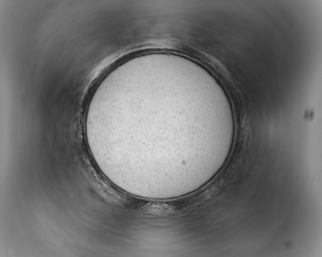 X0000115361168200911241209