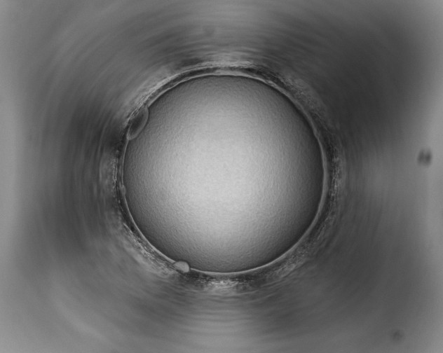 X0000115361169200911241209