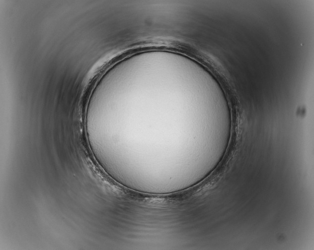 X0000115361172200911241209