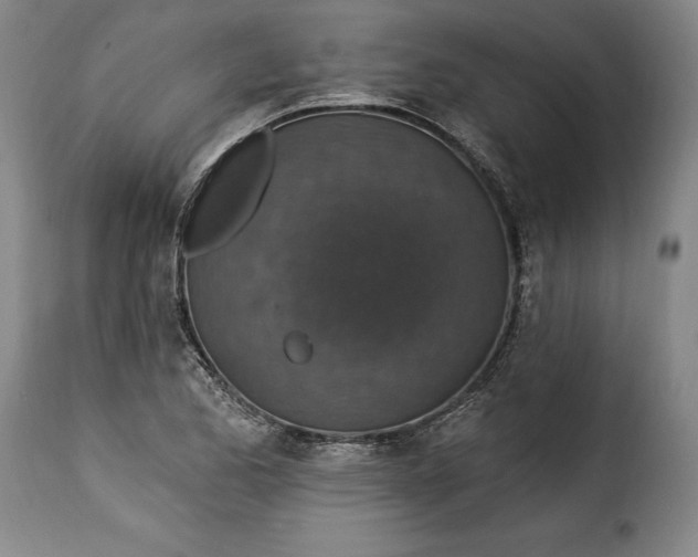 X0000115361173200911241209
