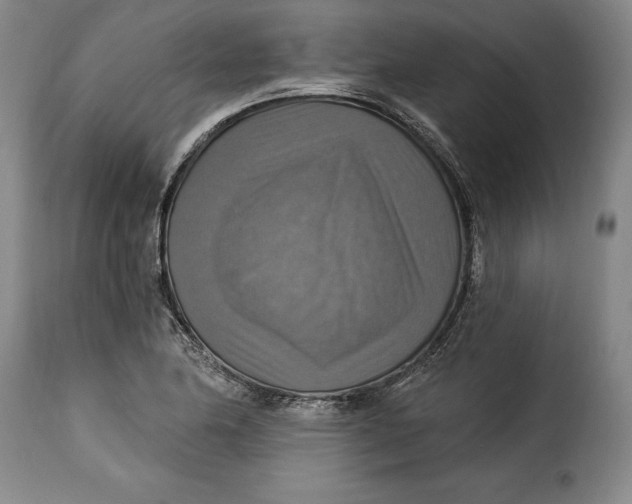 X0000115361174200911241209