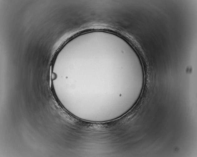 X0000115361175200911241209