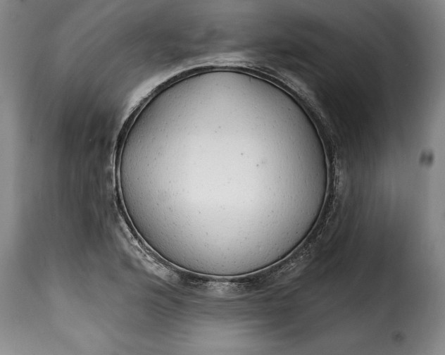X0000115361176200911241209