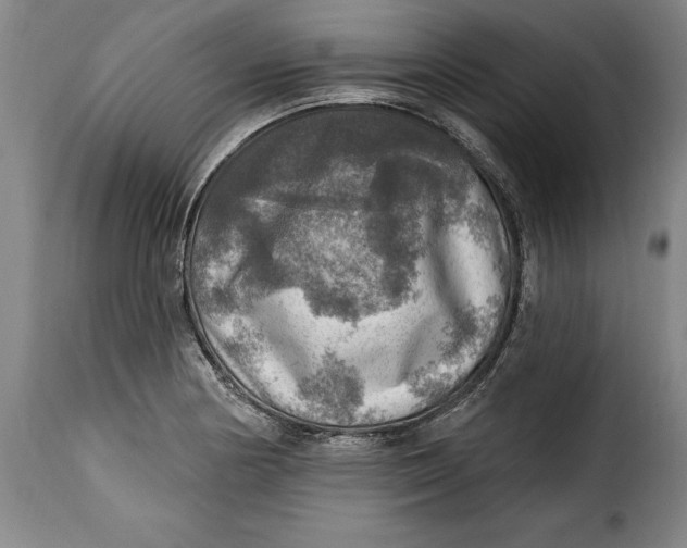 X0000115361178200911241209