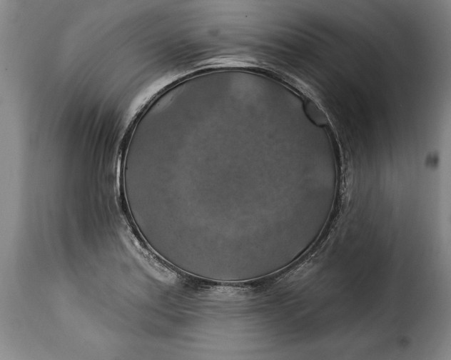 X0000115361179200911241209