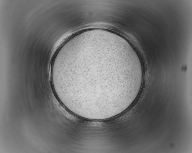 X0000115361180200911241209
