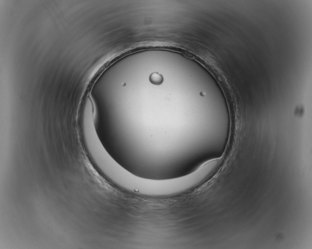 X0000115361181200911241209