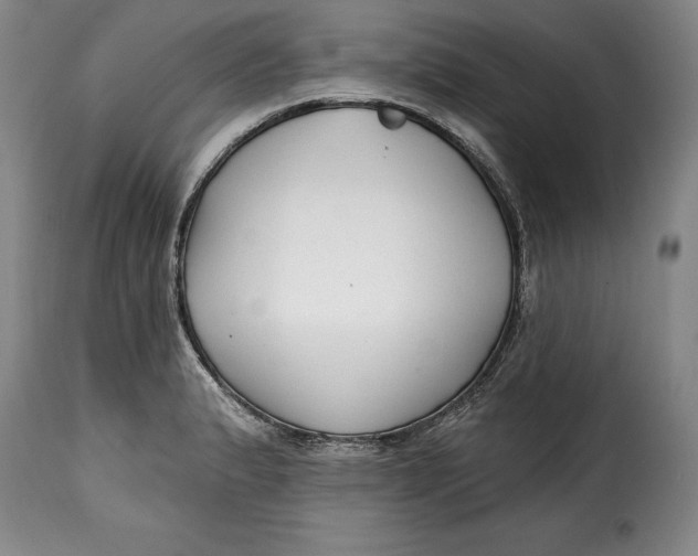 X0000115361183200911241209