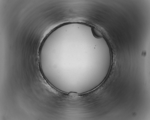 X0000115361184200911241209