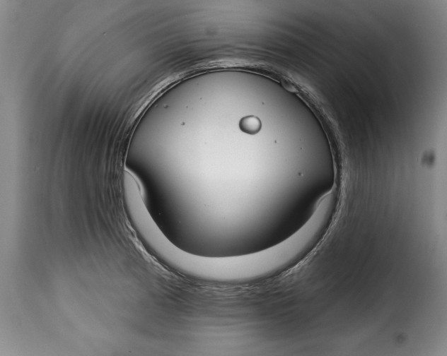 X0000115361185200911241209