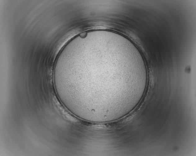 X0000115361186200911241209