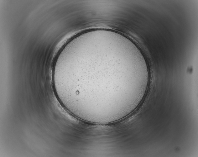 X0000115361188200911241209