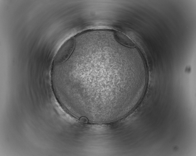 X0000115361189200911241209