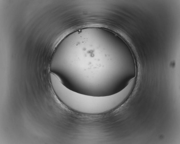 X0000115361193200911241209