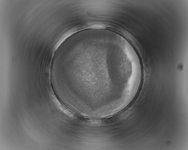 X0000115361194200911241209
