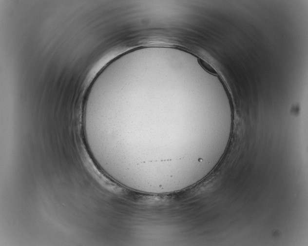 X0000115361195200911241209