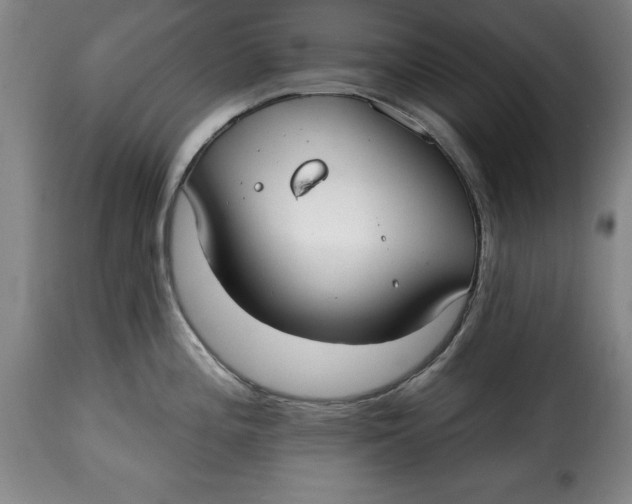 X0000115361196200911241209