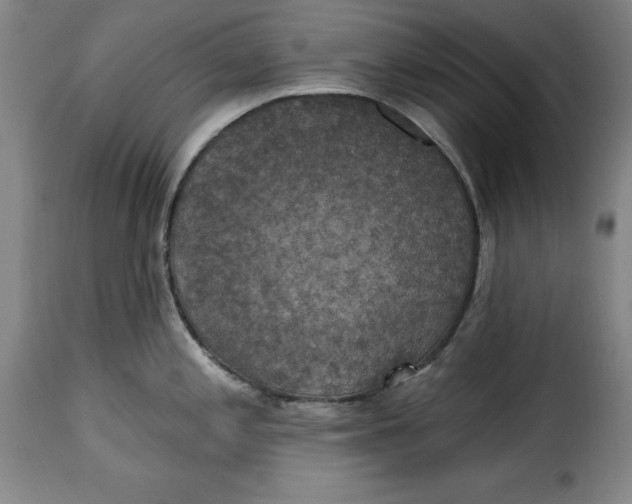 X0000115361197200911241209