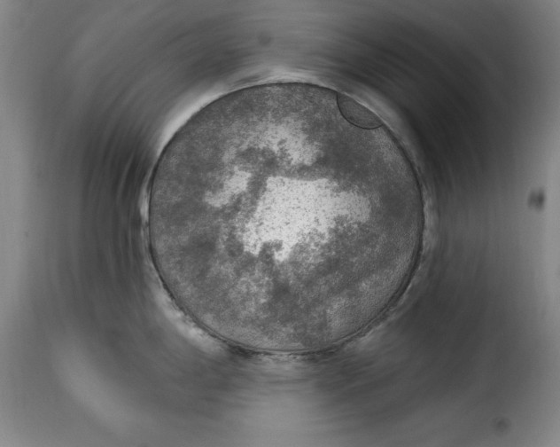 X0000115361198200911241209