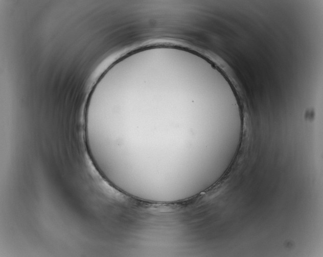 X0000115361199200911241209