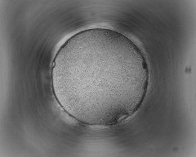 X0000115361200200911241209