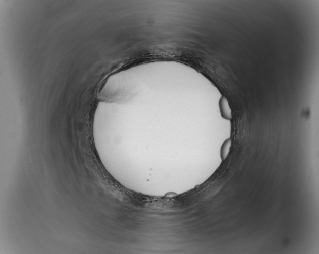 X0000115361201200911241208