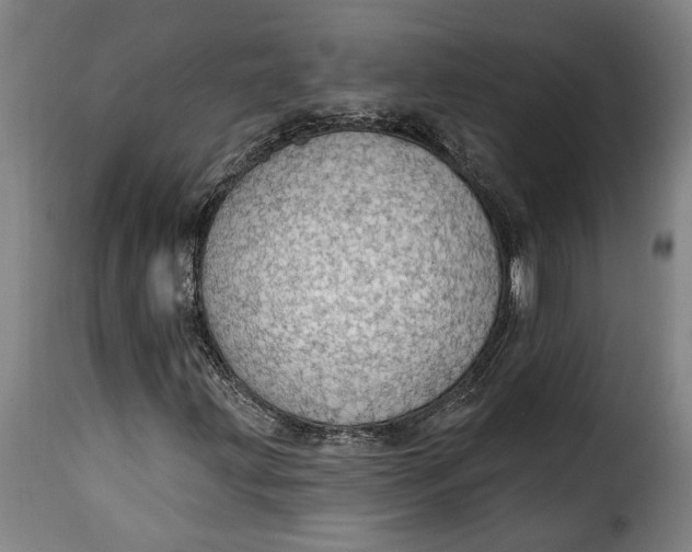 X0000115361203200911241208