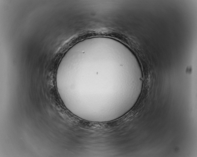 X0000115361205200911241208