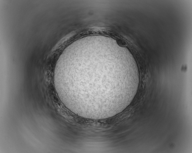 X0000115361207200911241208