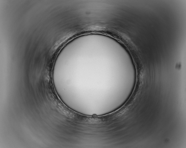 X0000115361209200911241208