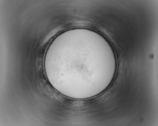 X0000115361211200911241208