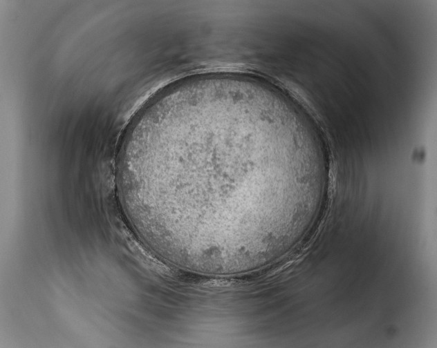 X0000115361212200911241208