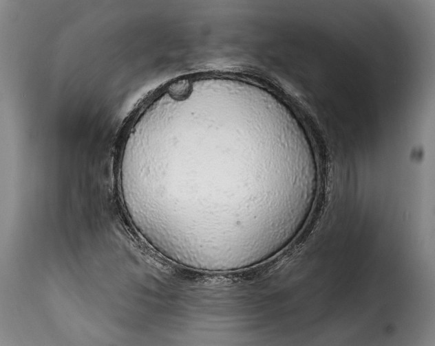 X0000115361214200911241208