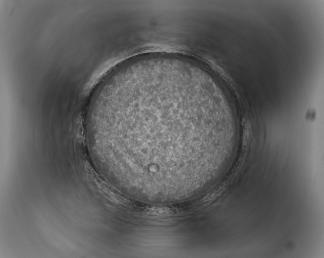 X0000115361215200911241208