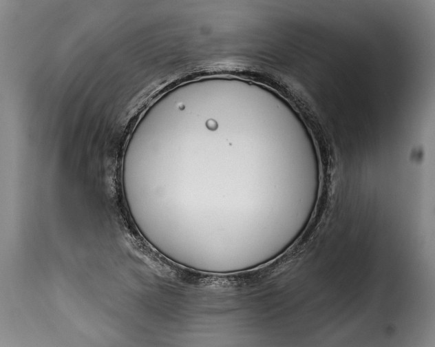X0000115361217200911241208