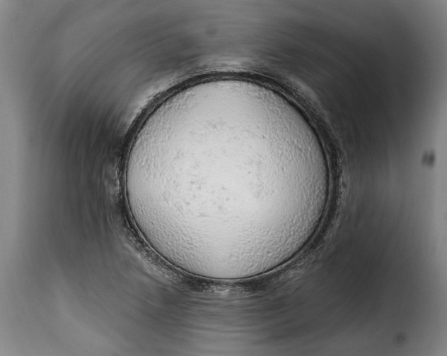 X0000115361218200911241208