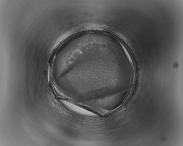 X0000115361219200911241208
