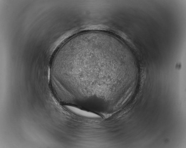 X0000115361221200911241208