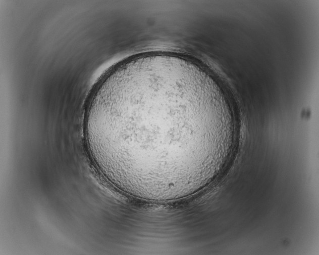 X0000115361222200911241208