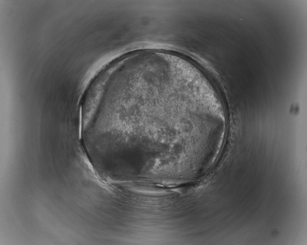 X0000115361223200911241208
