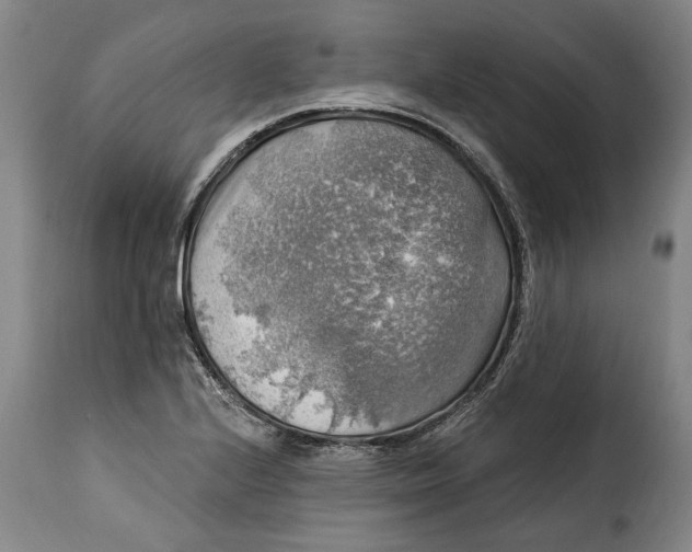 X0000115361224200911241208