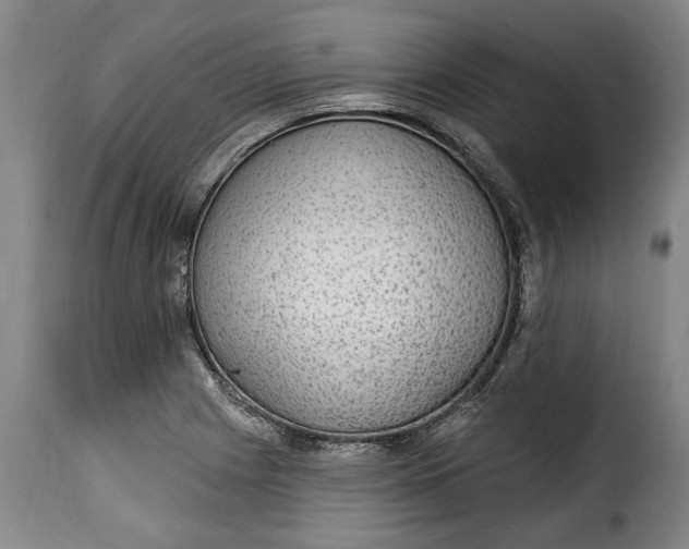 X0000115361225200911241208