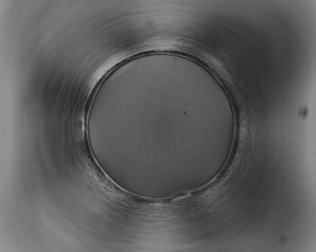 X0000115361226200911241208